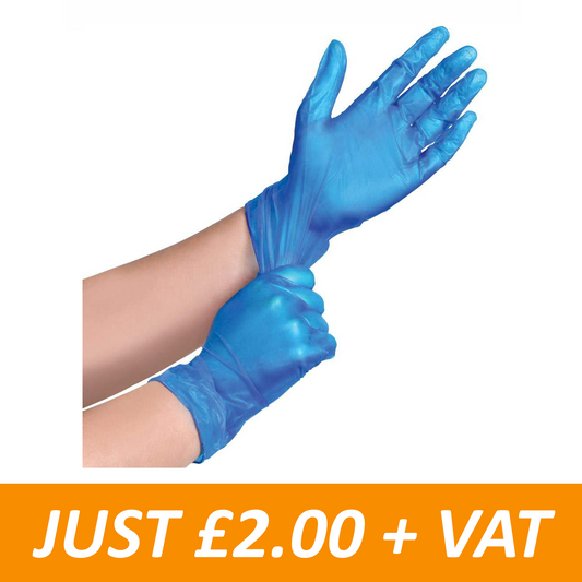 Disposable Blue Vinyl Gloves - Powder Free